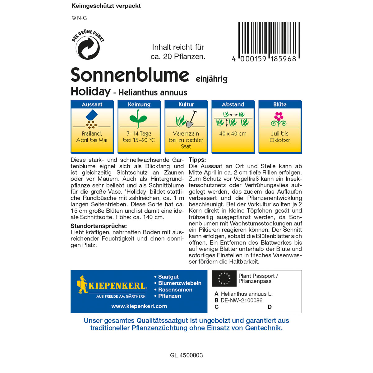 Kiepenkerl Sonnenblume Holiday Bild 2