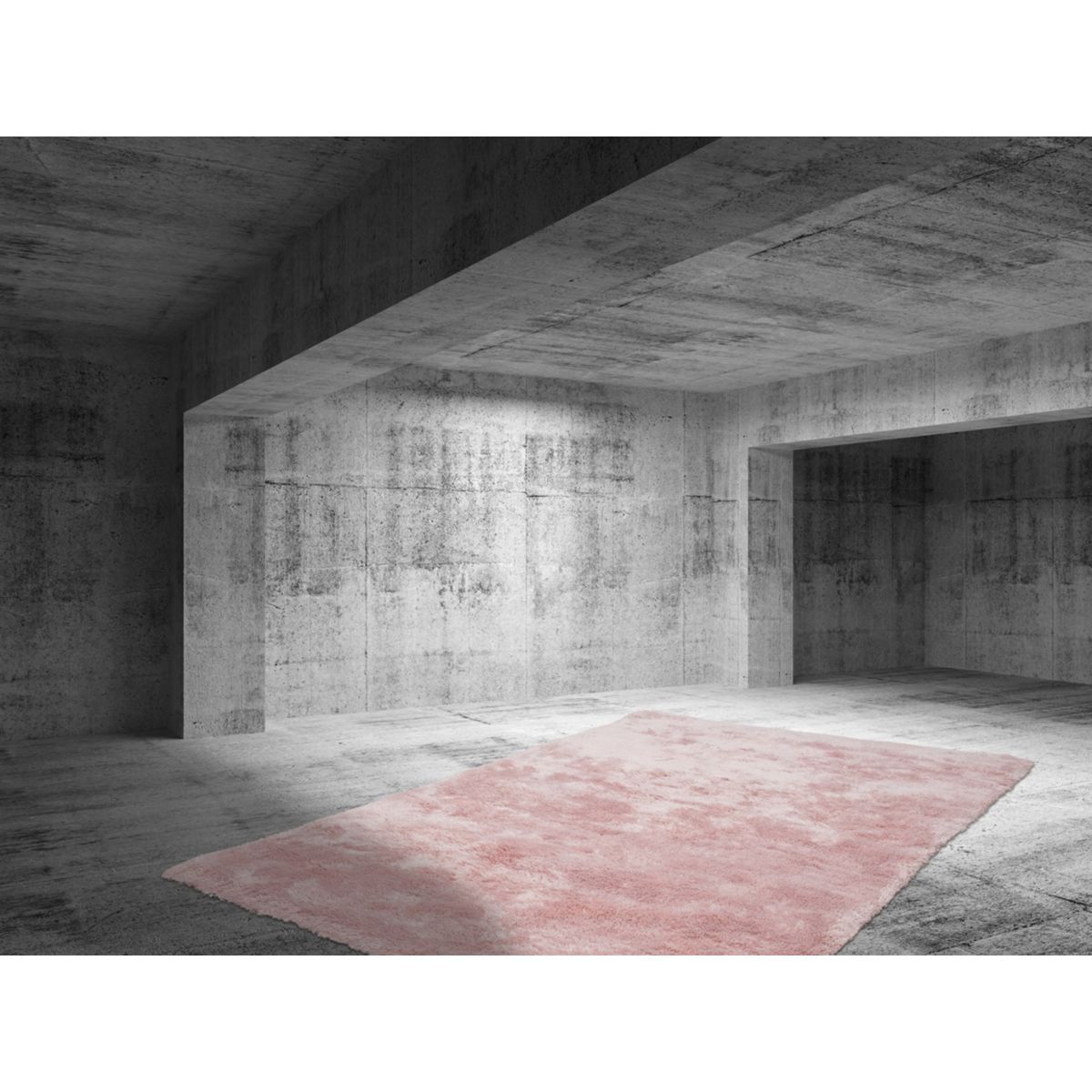 Dolphin 500 Rosa 120cm x 170cm Bild 2