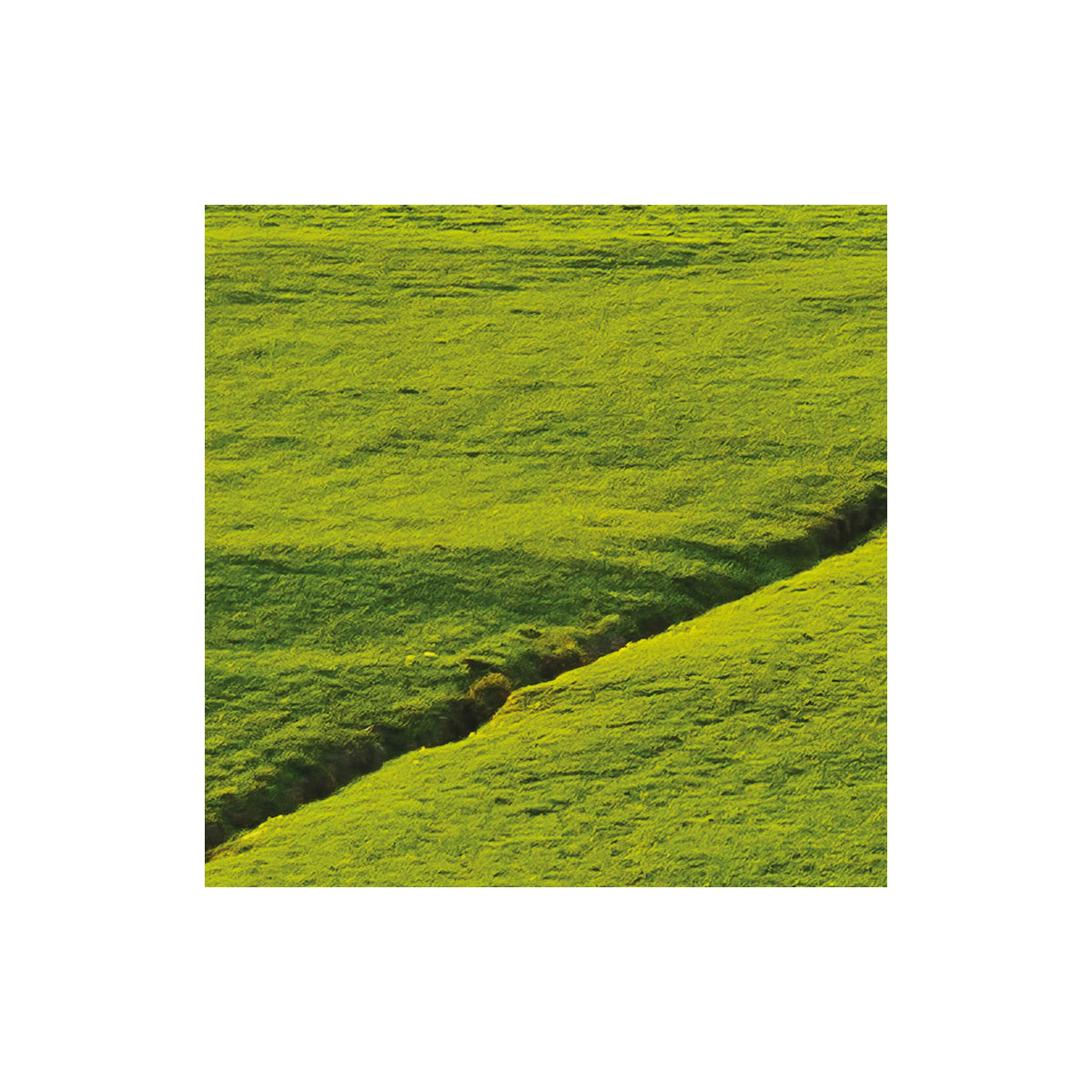 Komar  Vlies Fototapete Paradiesisches Bayern 450x280 cm Bild 7