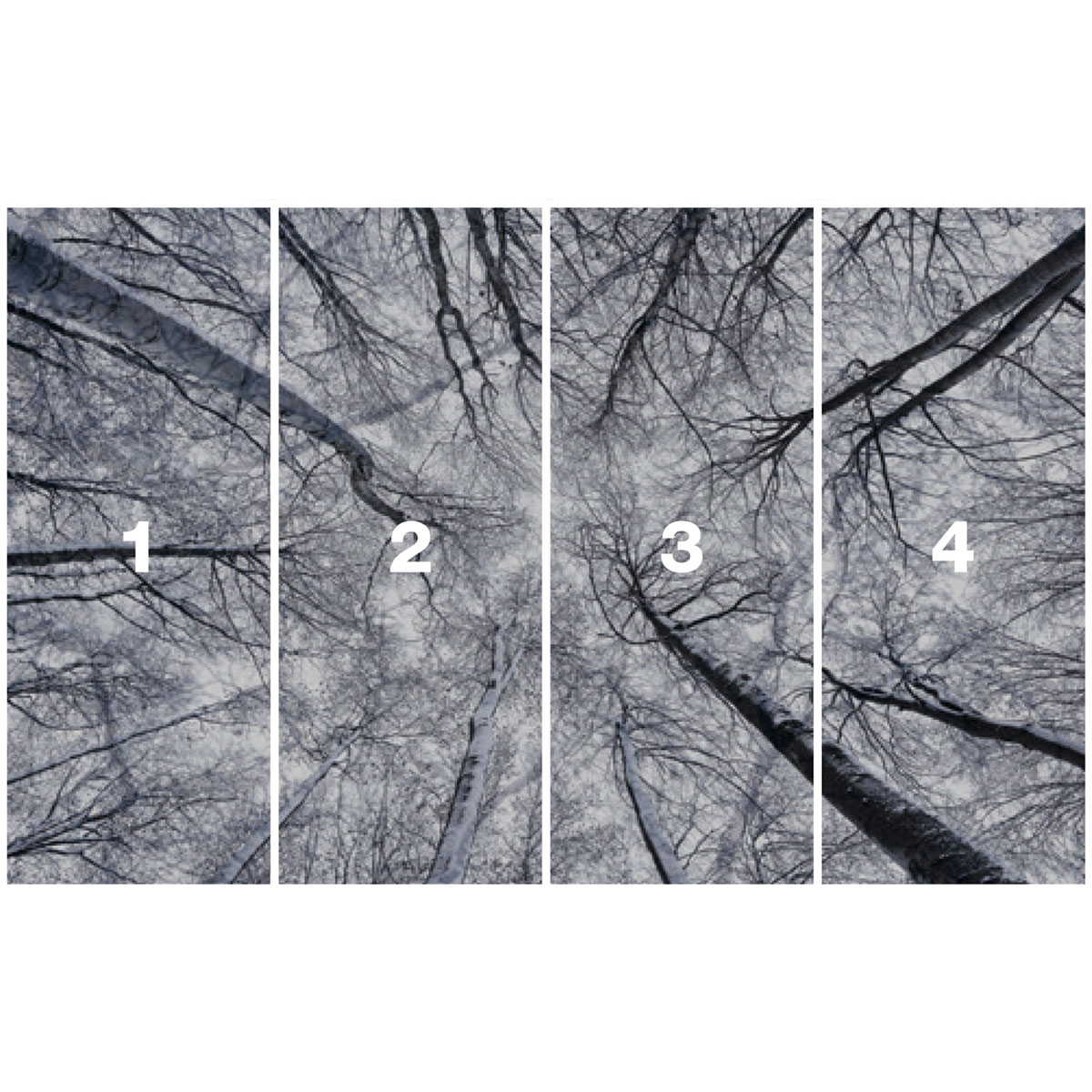 Komar  Vlies Fototapete Up 400x250 cm Bild 3