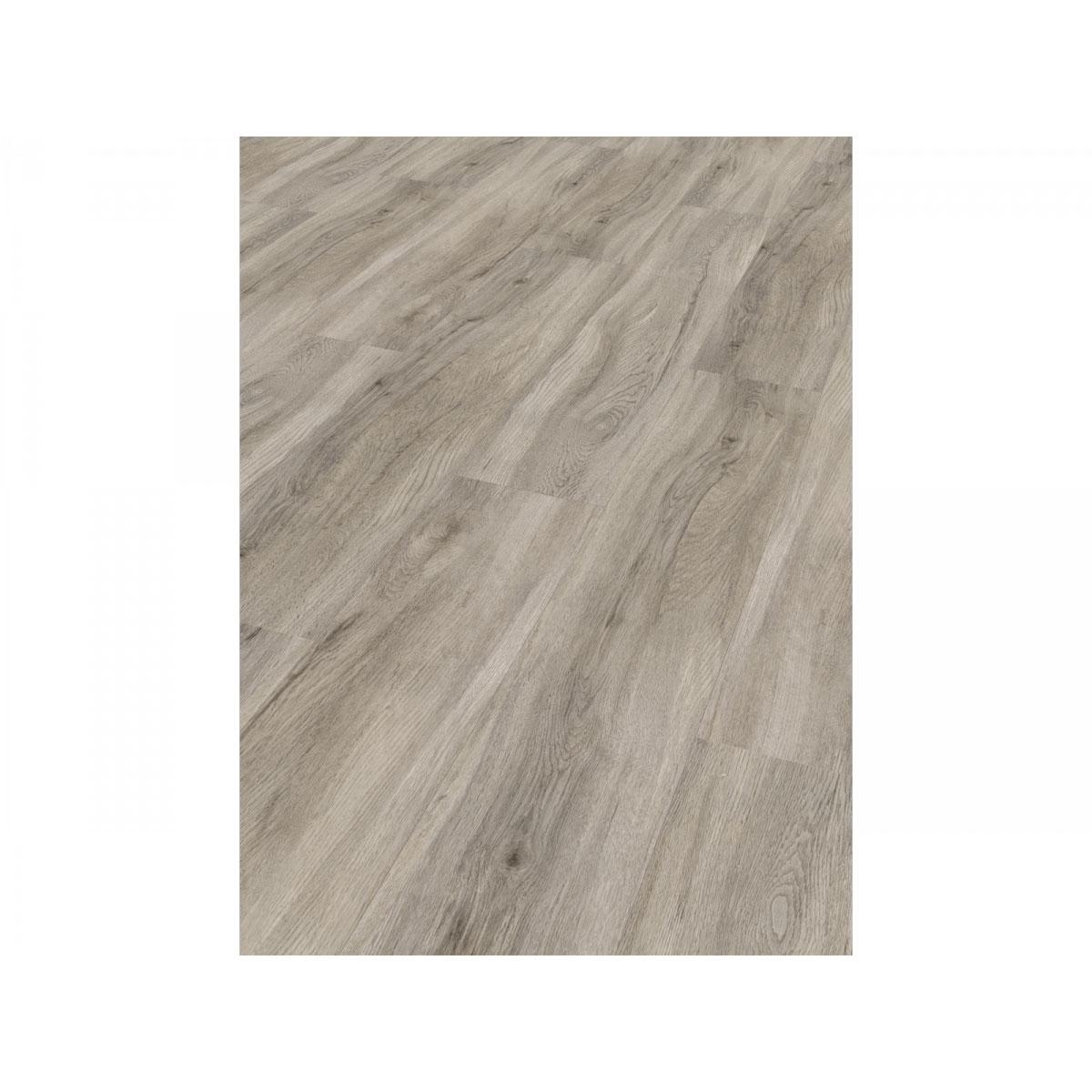 Parador Vinylboden Basic 30 Eiche pastellgrau Bild 3