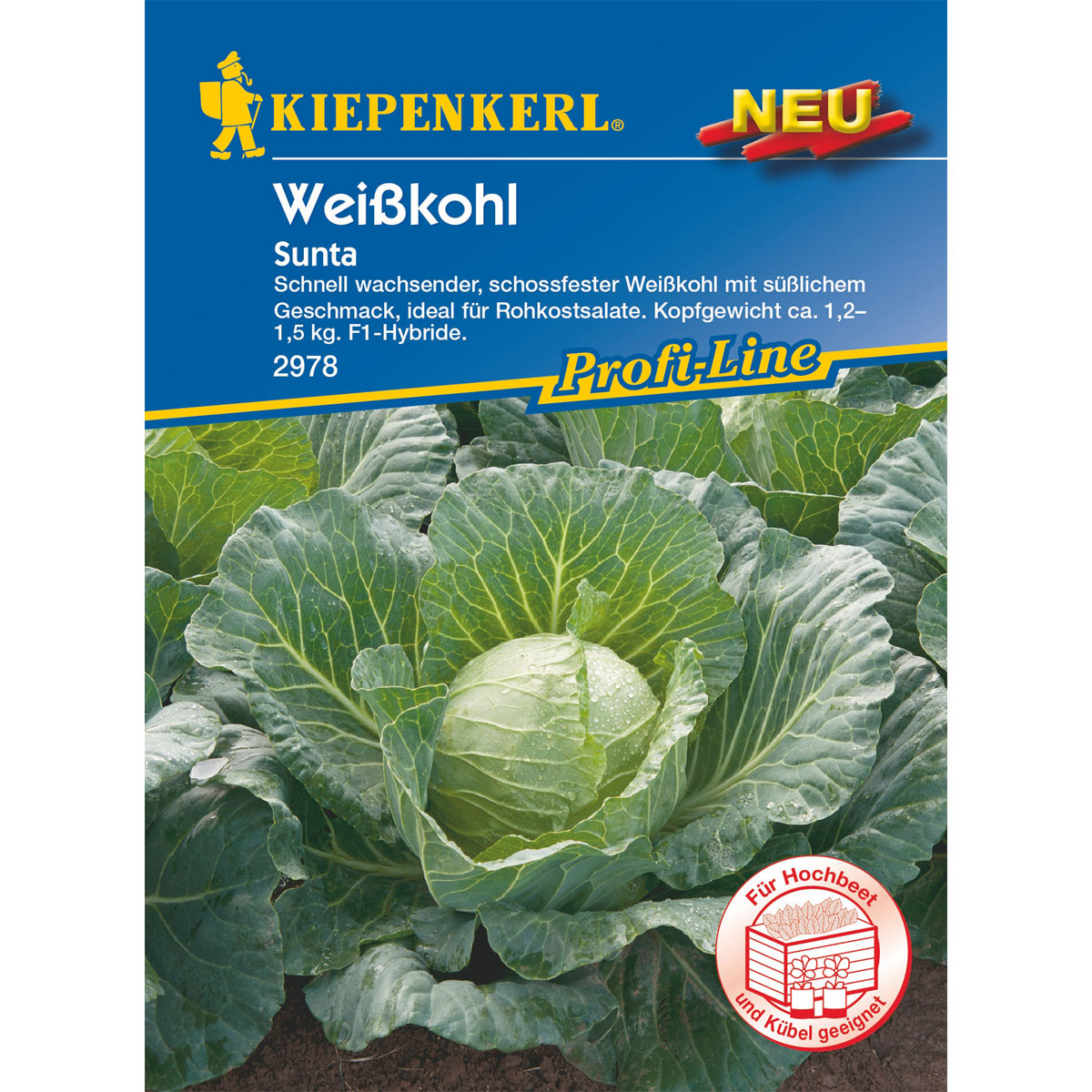 Kiepenkerl Weißkohl Sunta Bild 1