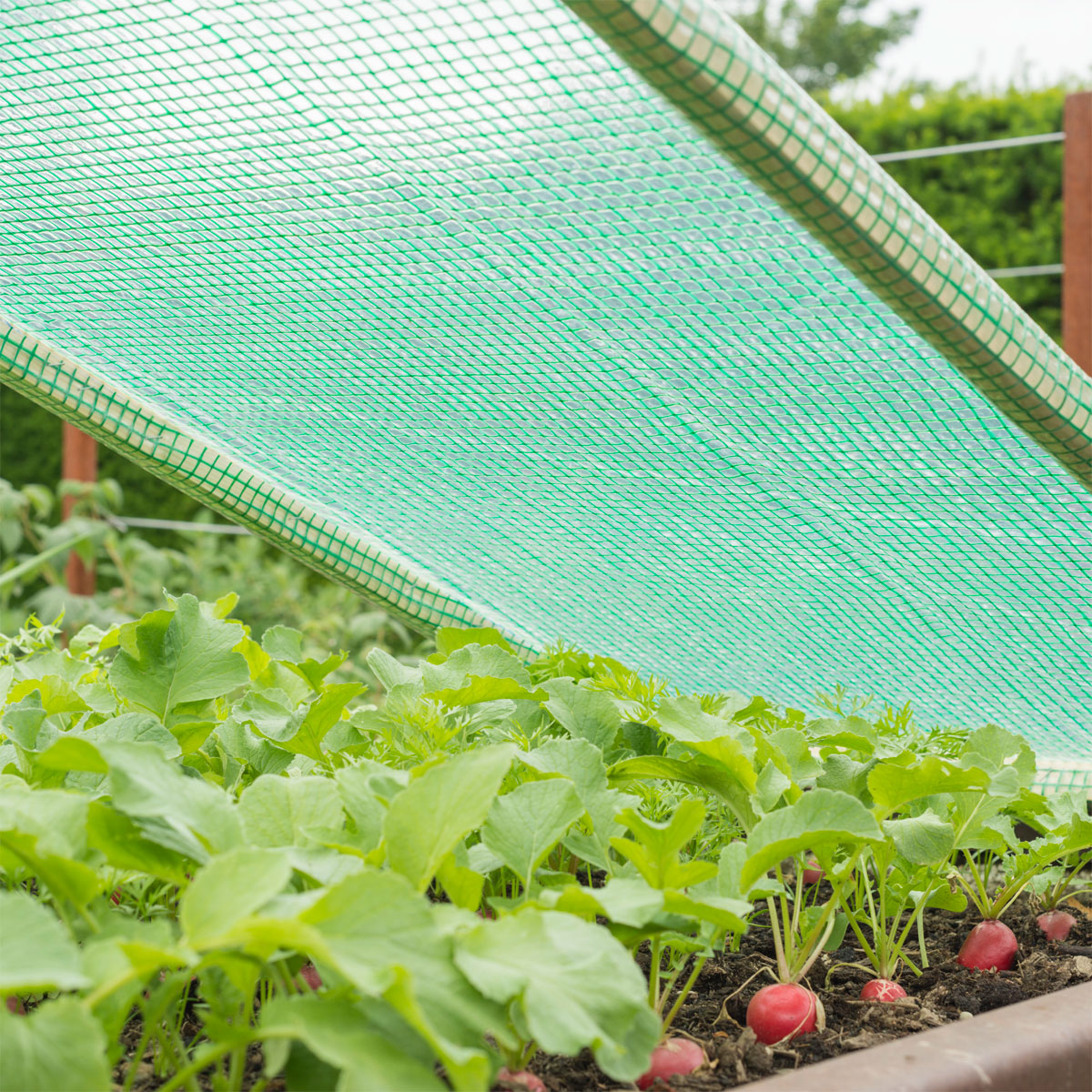 Windhager  Gitter-Folie Strong 3x2 m 250 g/m²