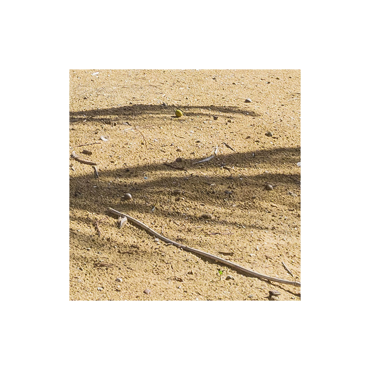 Komar  Vlies Fototapete Caribbean Days II 450x280 cm Bild 4