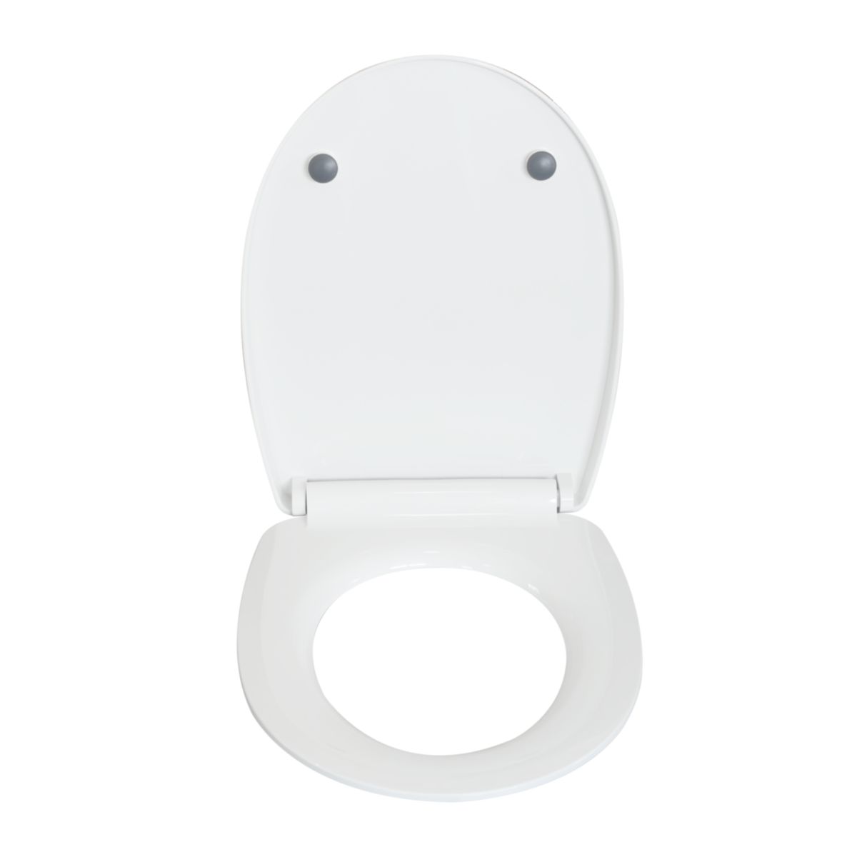 Valblue WC-Sitz Leafine Thermoplast, Absenkautomatik, abnehmbar per Knopfdruck Bild 3