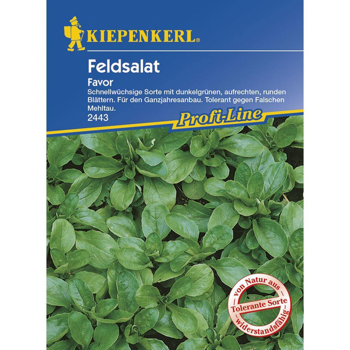Kiepenkerl Feldsalat Favor Profi-Line