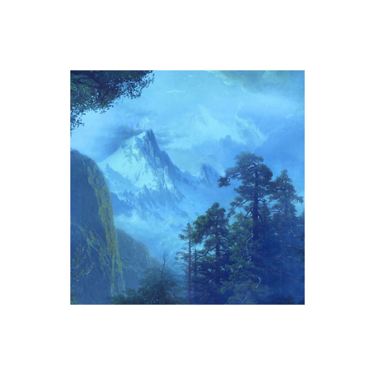 Komar  Vlies Fototapete Midnight 400x280 cm Bild 4