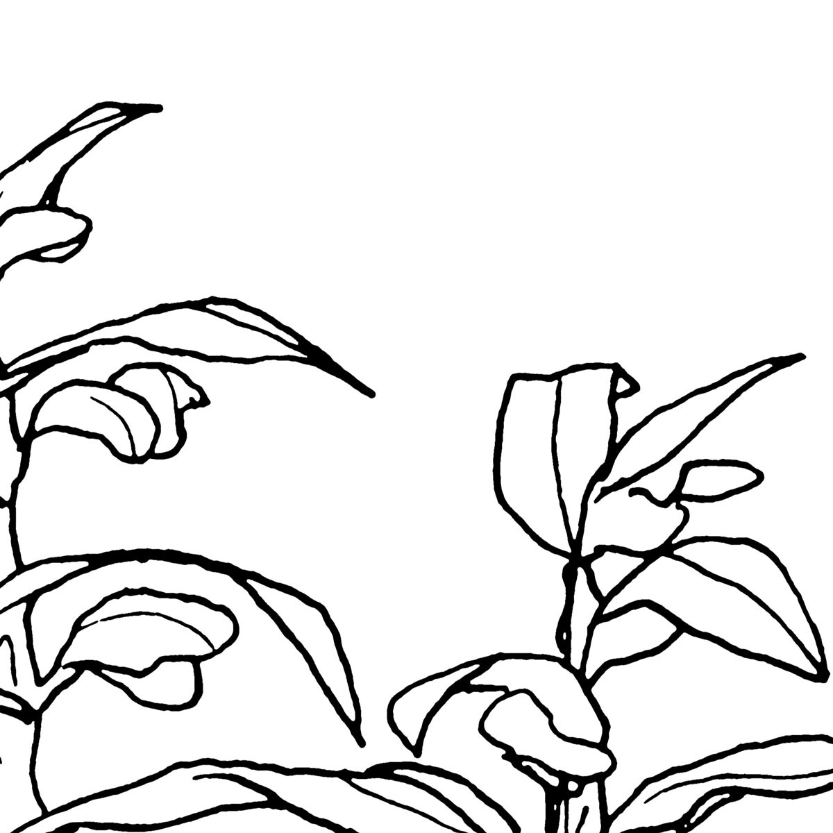 Komar  Vlies Fototapete Blanca 400x280 cm Bild 7