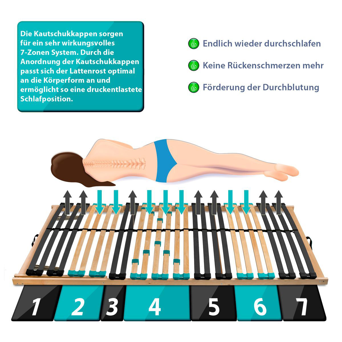 Coemo  7-Zonen Lattenrost DRÖMSON 28 Federleisten starr 100 x 200 cm Bild 3