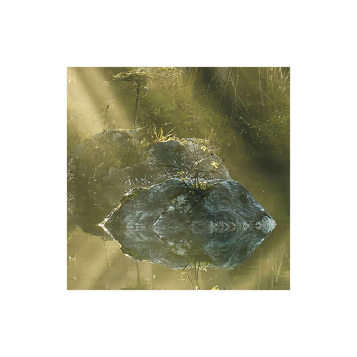 Komar  Vlies Fototapete Indulgence of Beauty 200x250 cm Bild 7