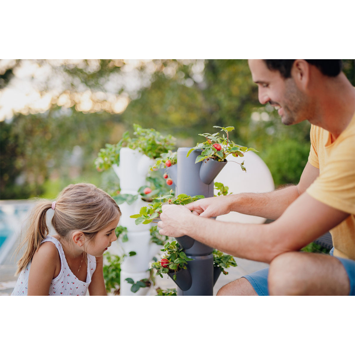 Erdbeerturm Sissi Strawberry Starter-Set anthr. Bild 4