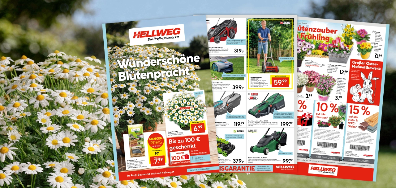 Beilage: Wunderschöne Blütenpracht