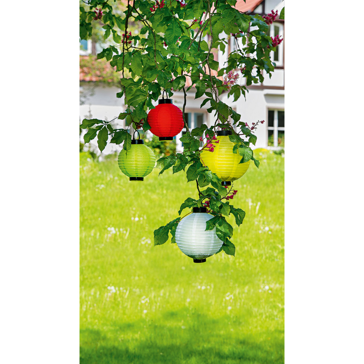 LED-Solar-Lampion Outdoor bunt online kaufen