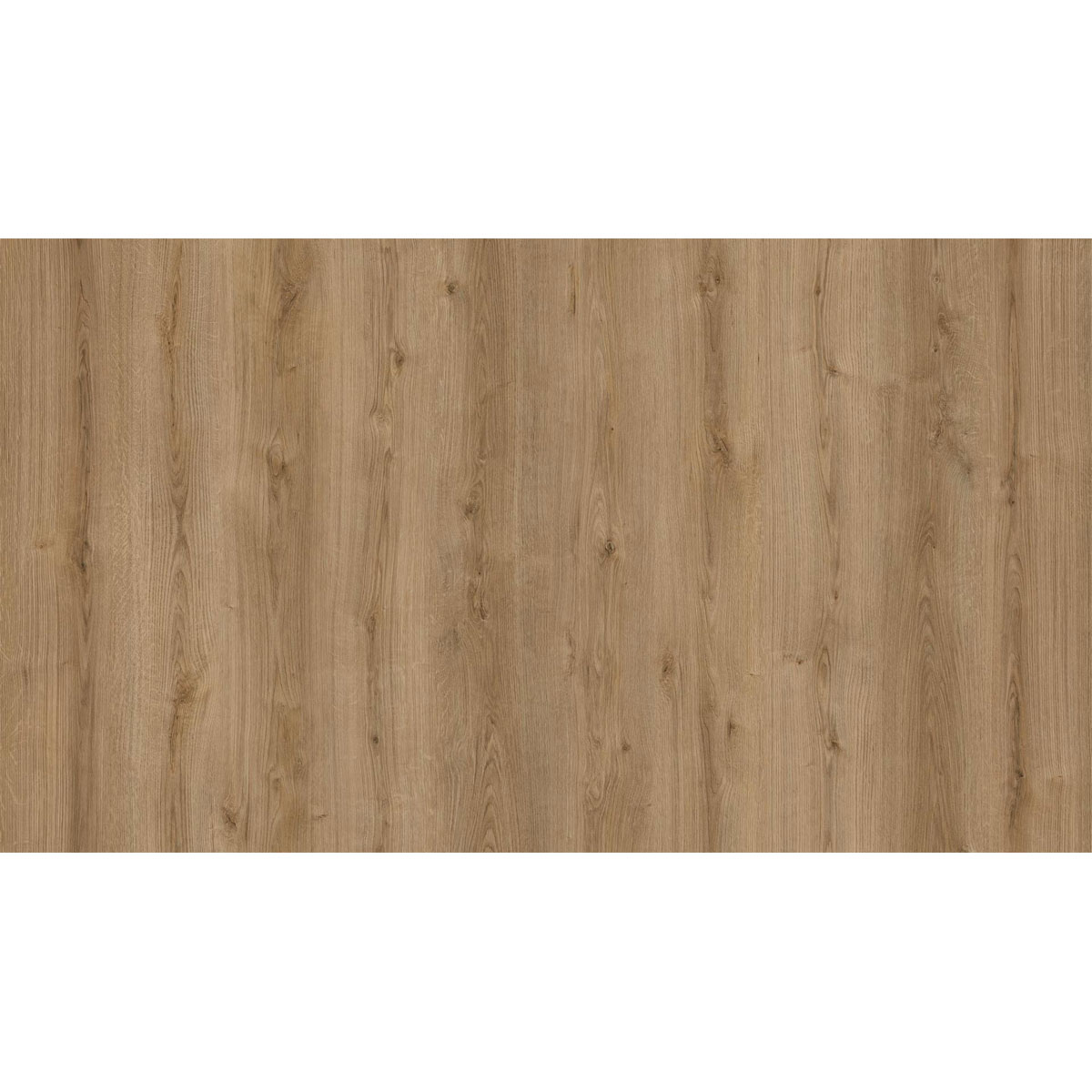 KAINDL  Küchenarbeitsplatte Eiche Evoke Trend 4100 x 635 x 38 mm