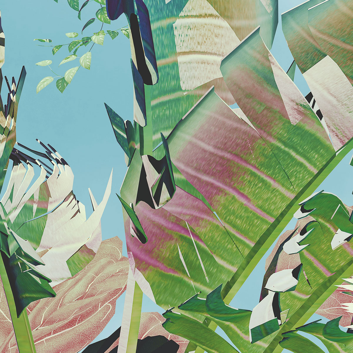Komar  Vlies Fototapete Tropical Heaven 368x248 cm Bild 5
