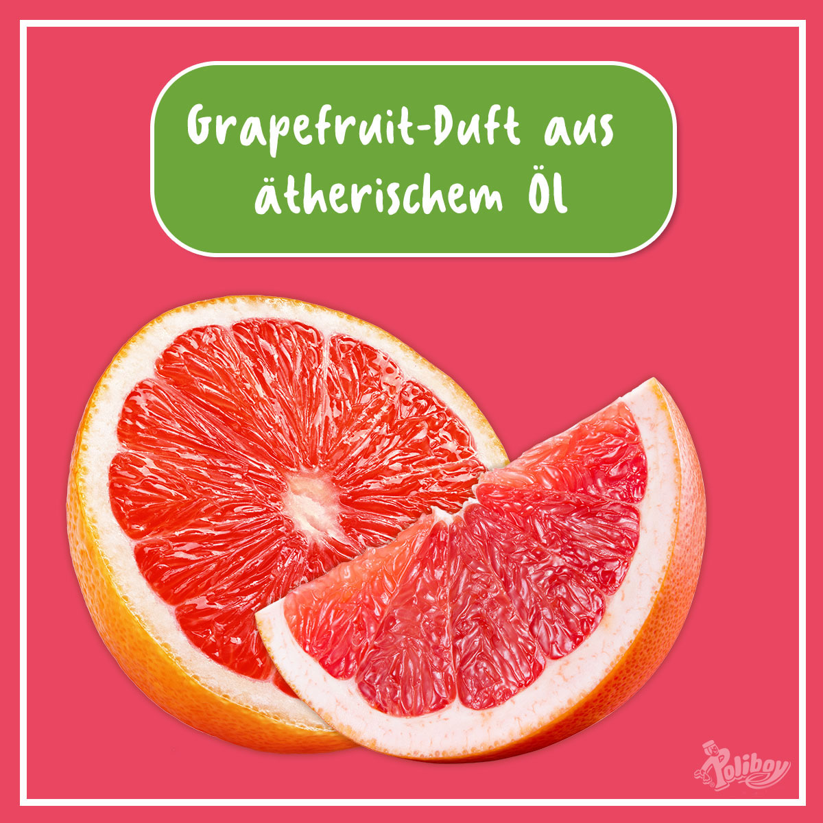 Poliboy Bio Allzweckreiniger 500 ml Bild 2