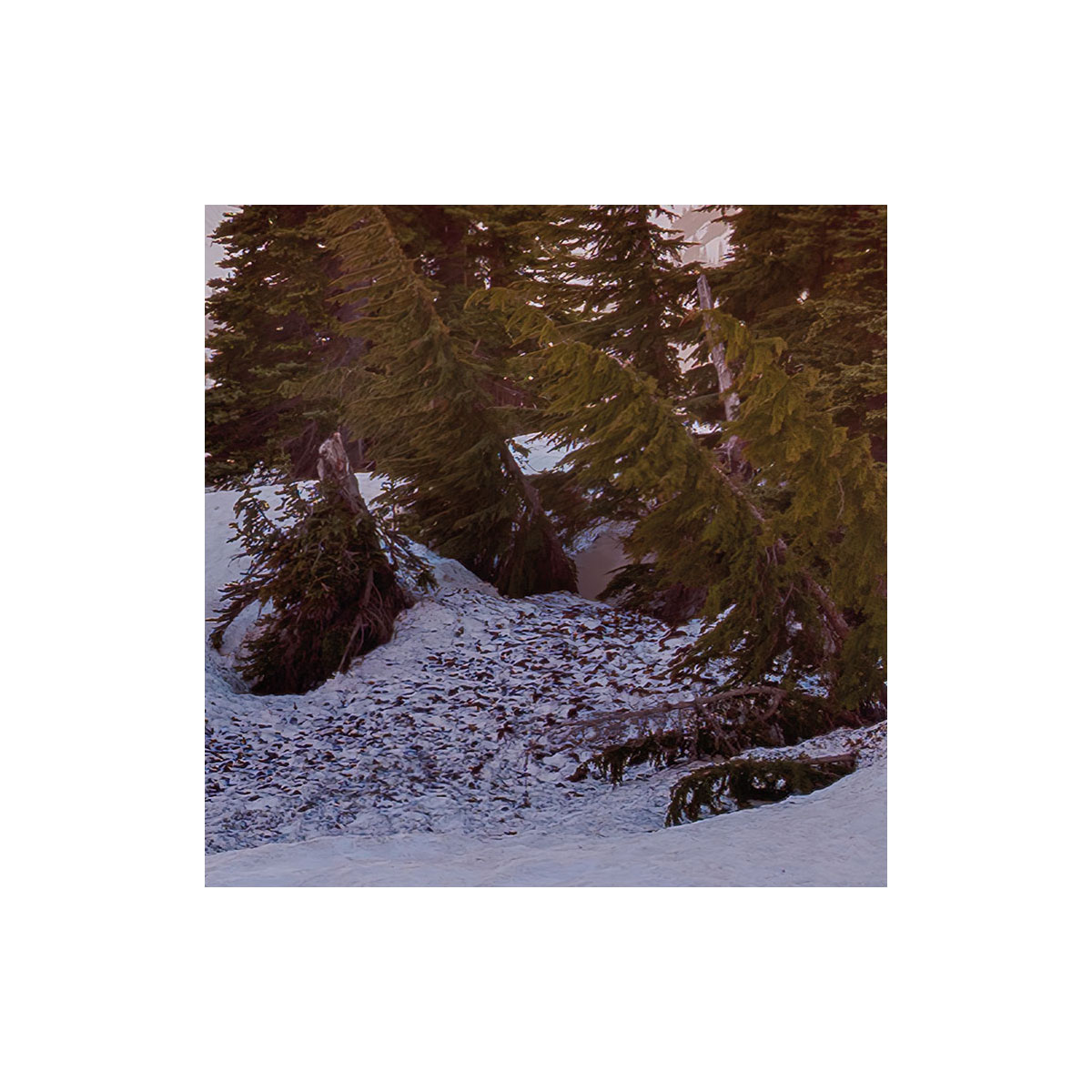 Komar  Vlies Fototapete America the Beautiful 450x280 cm Bild 5