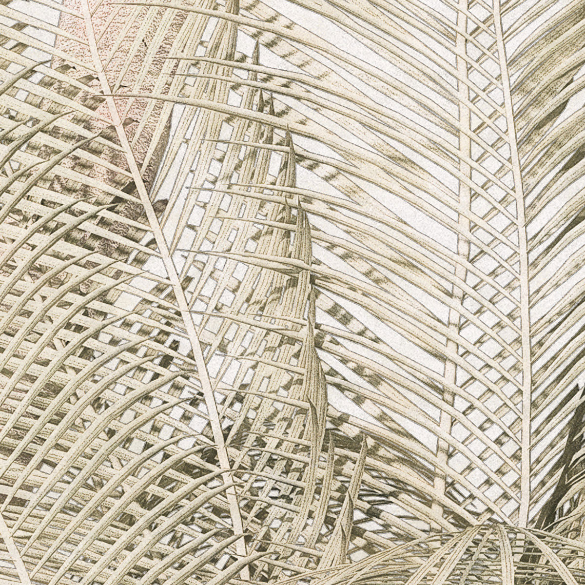 Komar  Vlies Fototapete Palm Oasis 200x280 cm Bild 8