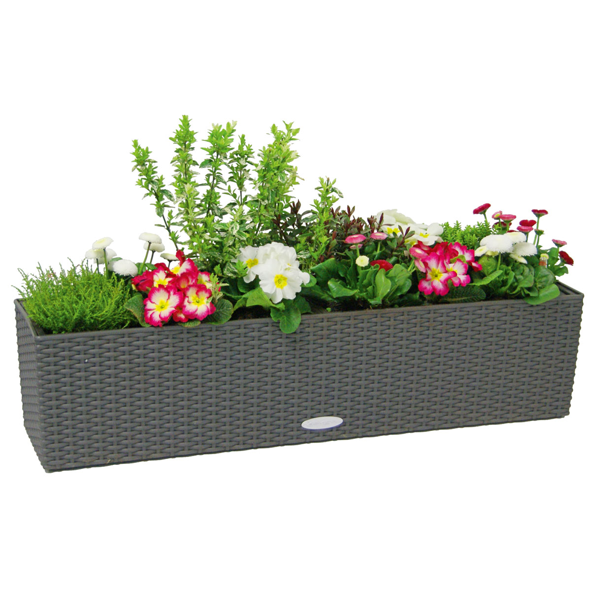 LECHUZA Blumenkasten Balconera Cottage 50 granit Bild 1