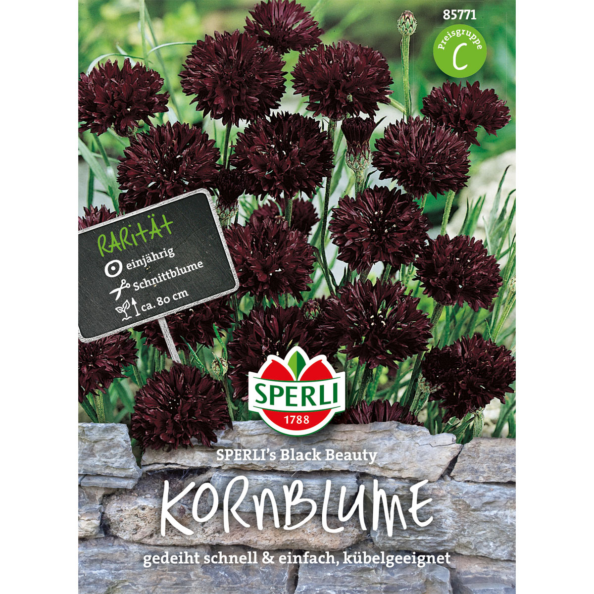 Sperli Kornblumen ngs Black Beauty Bild 1