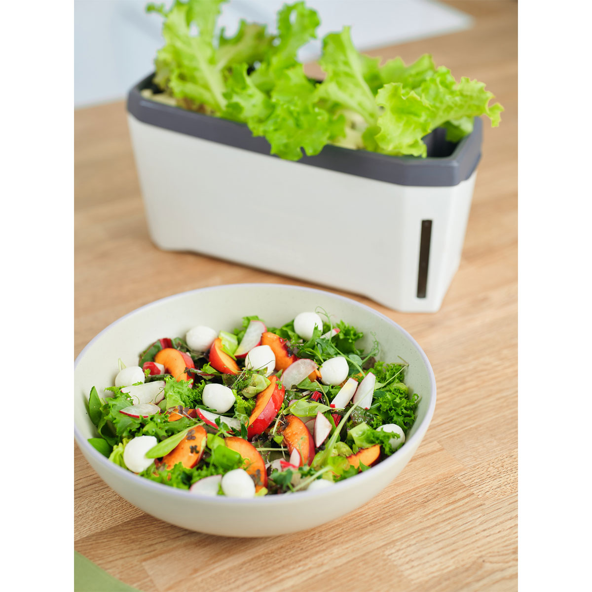 Anzuchtgefäß Harry Herbs mit Deckel weiß Bild 1