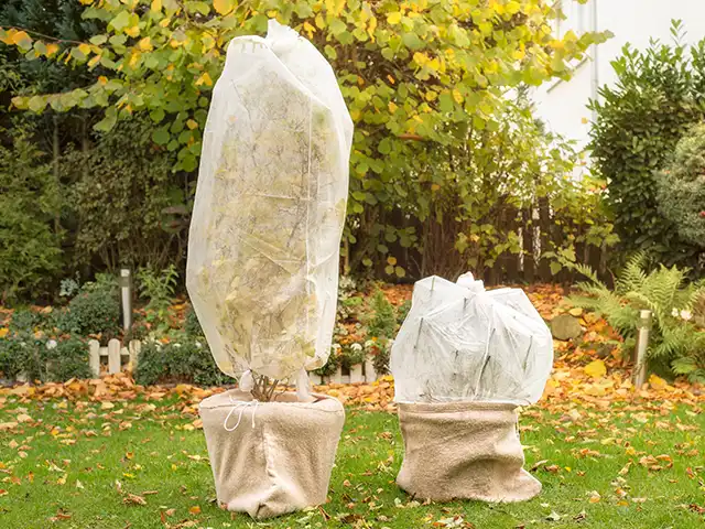 Garten winterfest machen_(1)