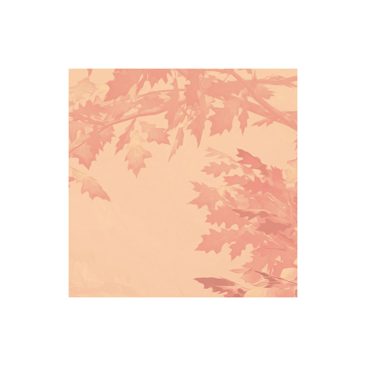 Komar  Vlies Fototapete Heartwood 400x250 cm Bild 8