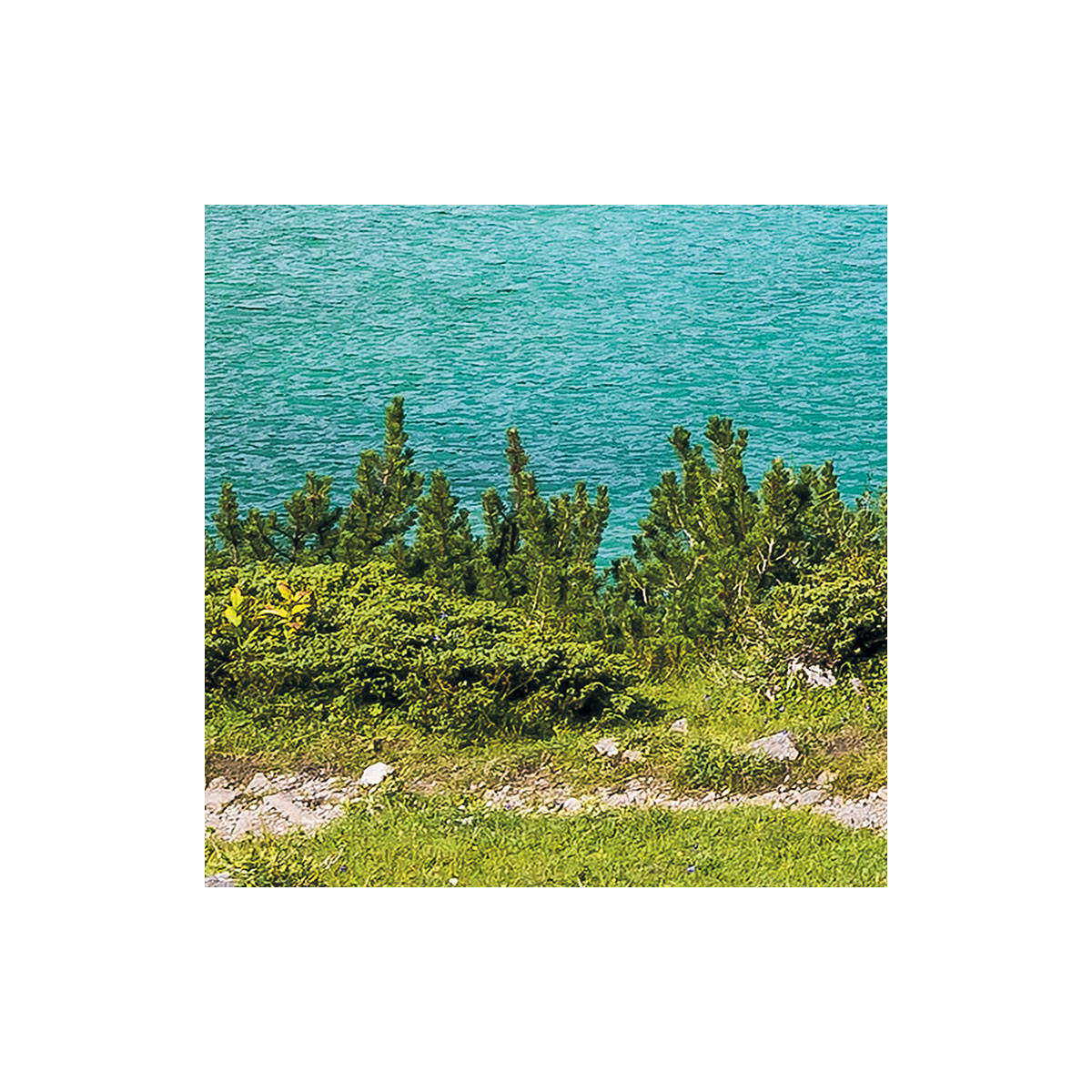 Komar  Vlies Fototapete Paradise Lake 400x250 cm Bild 6