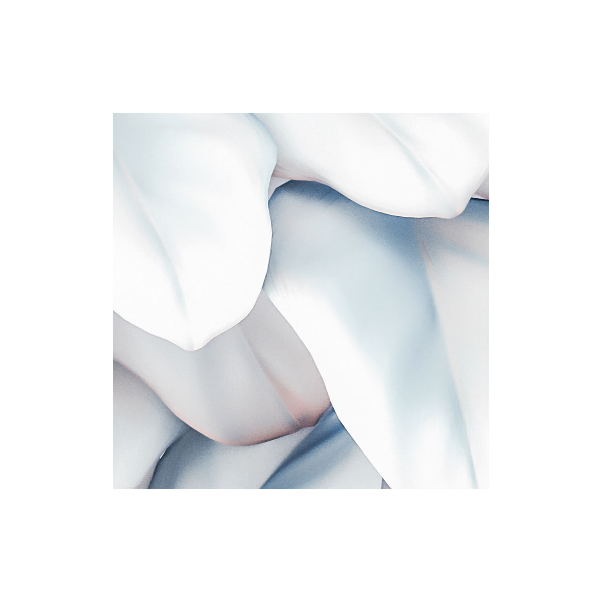 Komar  Vlies Fototapete Vertical Garden 400x250 cm Bild 6