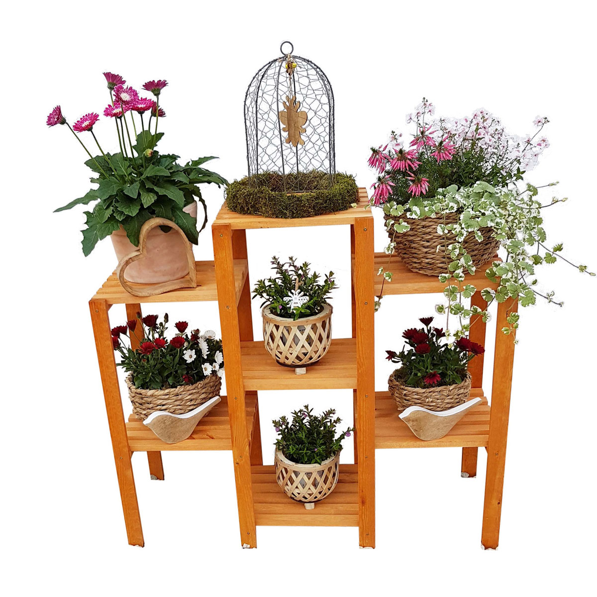 Promadino Blumenetagerie Heilbronn gerade Bild 2