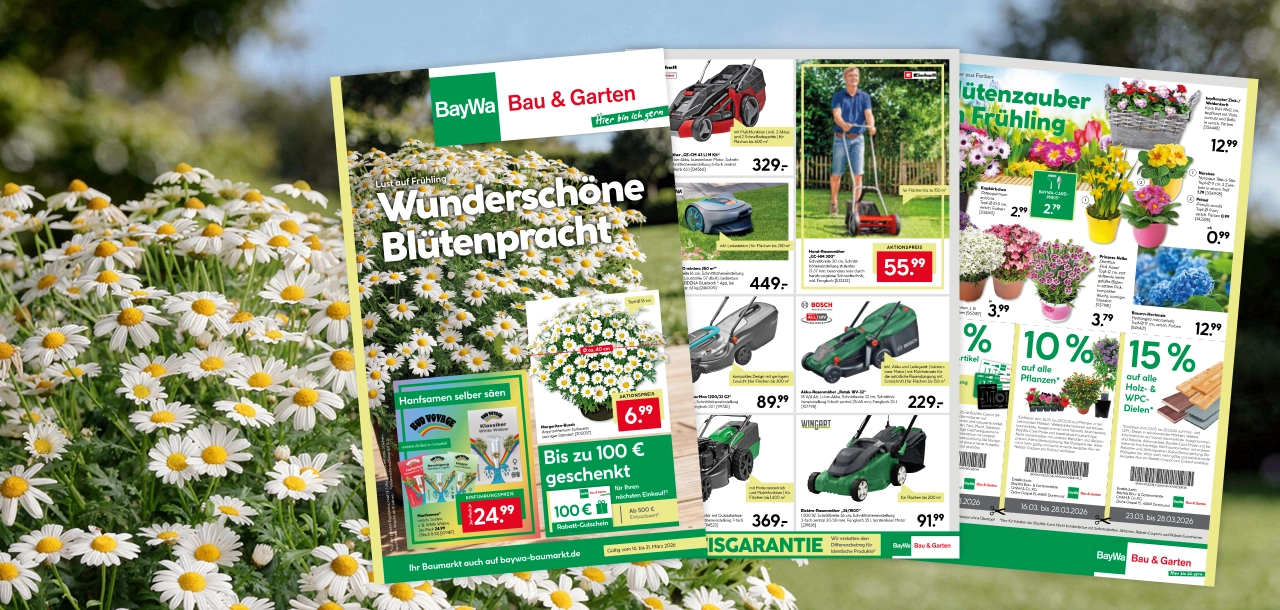 Beilage: Wunderschöne Blütenpracht