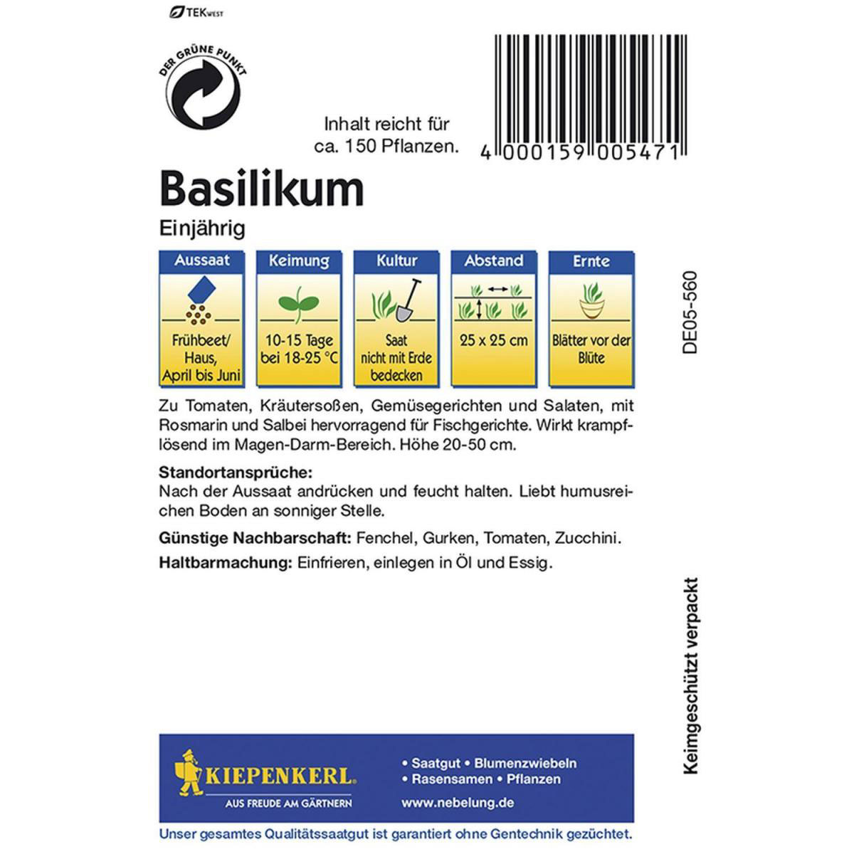 Kiepenkerl Basilikum feinblättrig einjährig Bild 2
