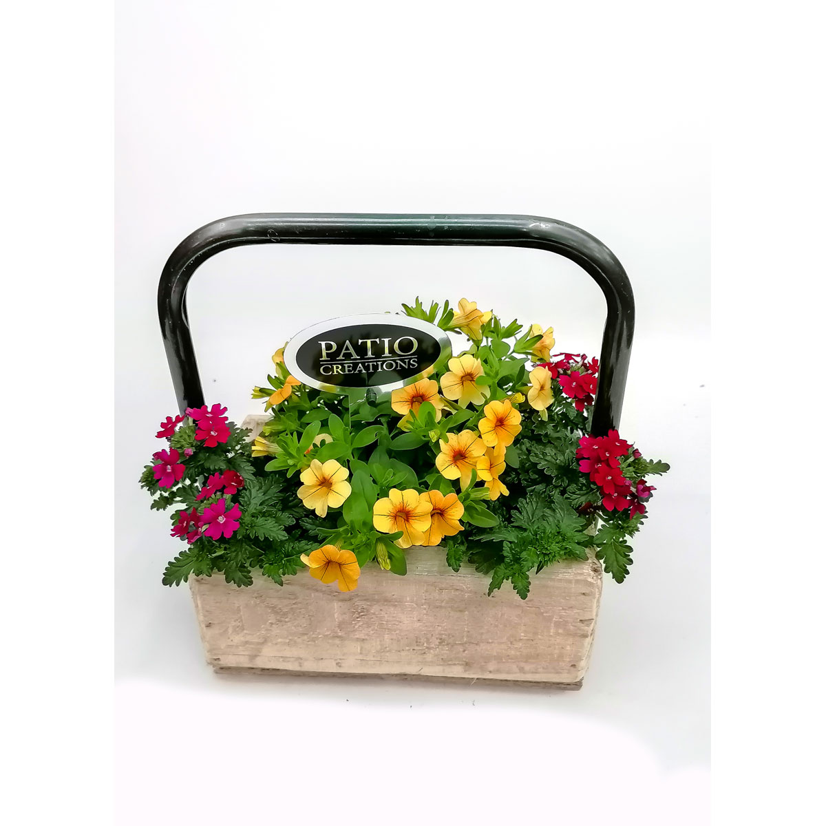 Plantiflor  Bepflanztes Gefäß Holzkasten 22 x 14 cm