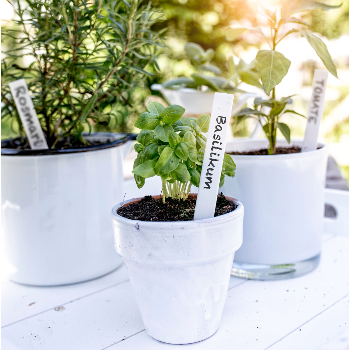 Windhager  Stecketiketten 50 Stück