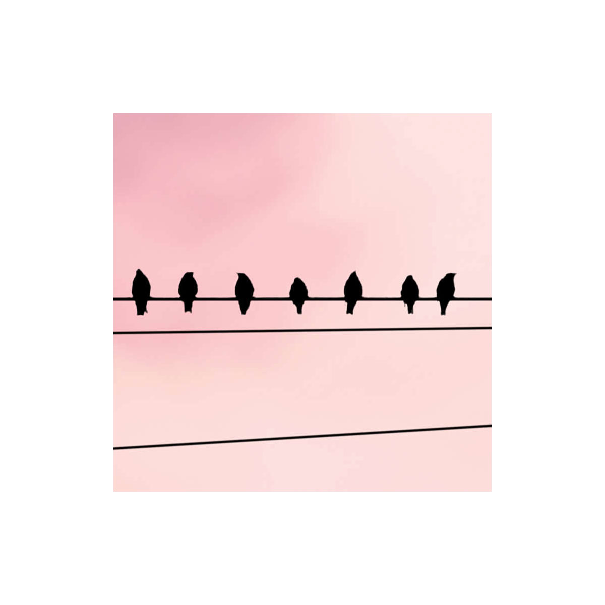 Komar  Vlies Fototapete Cloud Wire 400x250 cm Bild 9