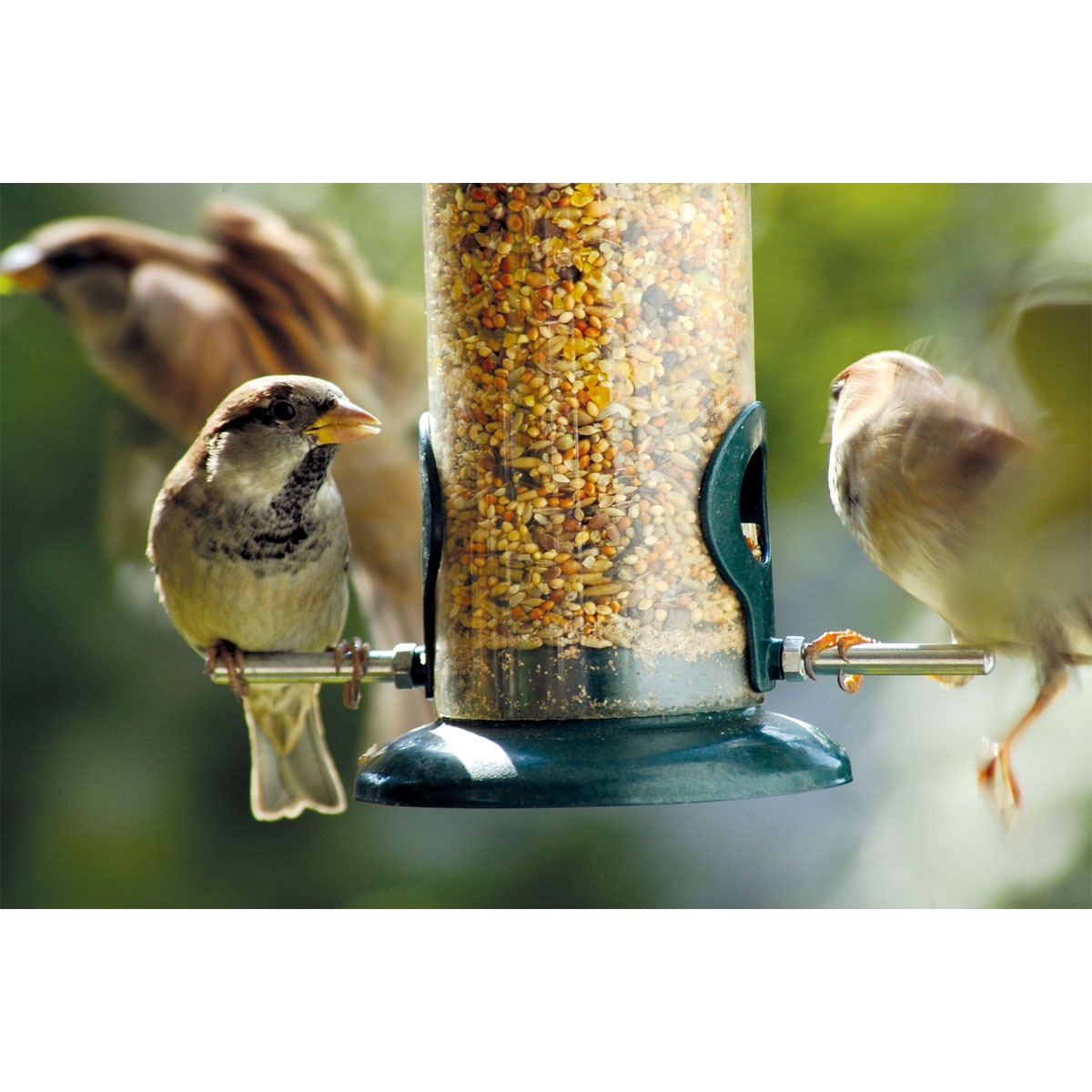 Futterspender zum Aufhängen 9,5 x 9,5 x 23 cm Metall Dunkelgrün Bild 10