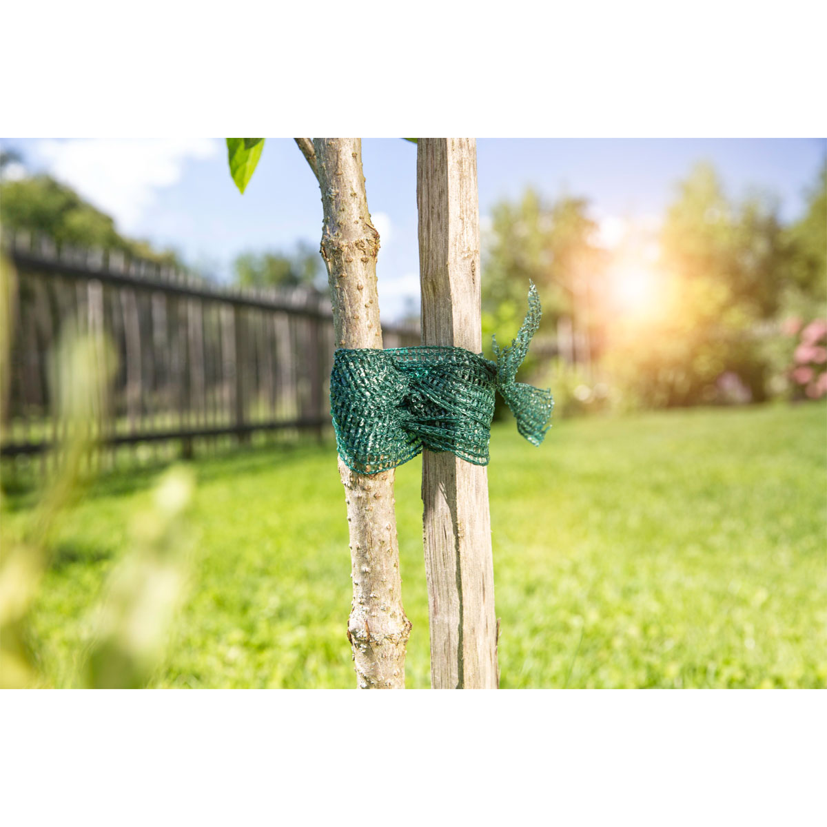 Blumenanbinder 50 m Bild 4