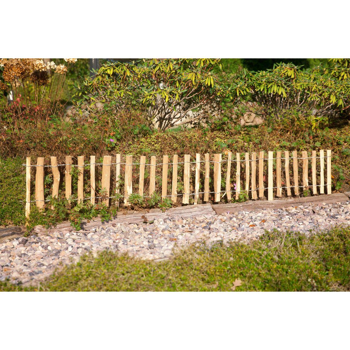 Mini-Haselnuss-Beetgrenze 200x28cm Bild 2