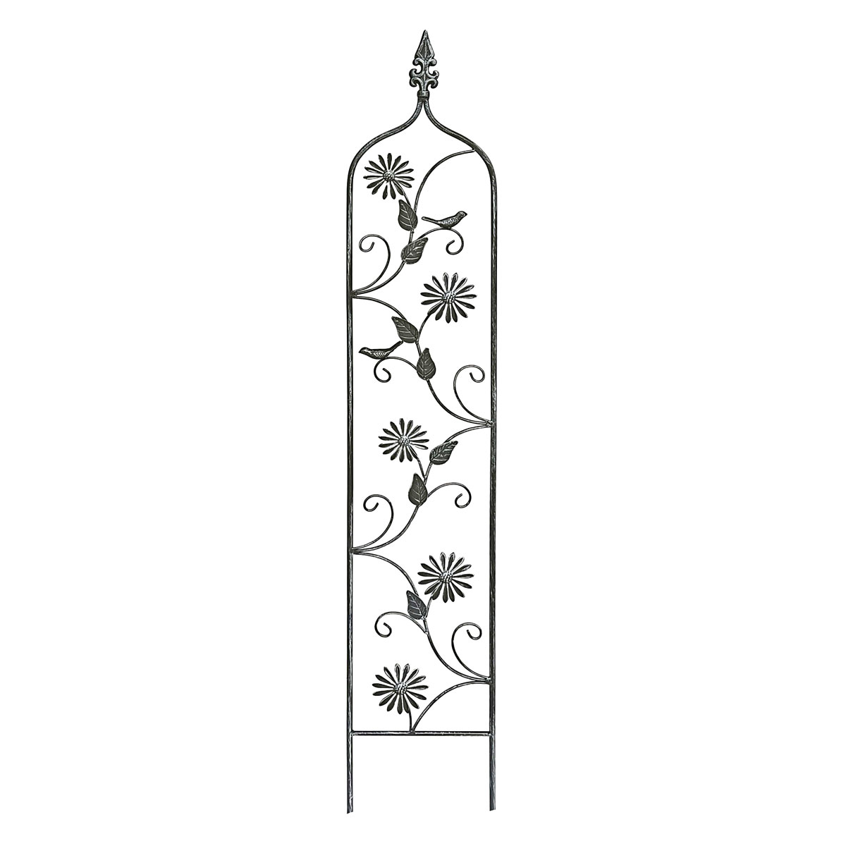 Haveson Rankstecker FLORA