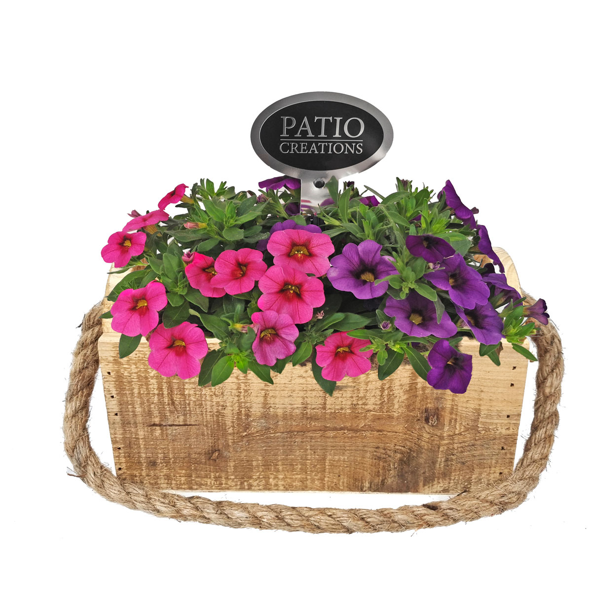 Plantiflor  Bepflanztes Gefäß Holzkasten geflammt 21 x 12 cm