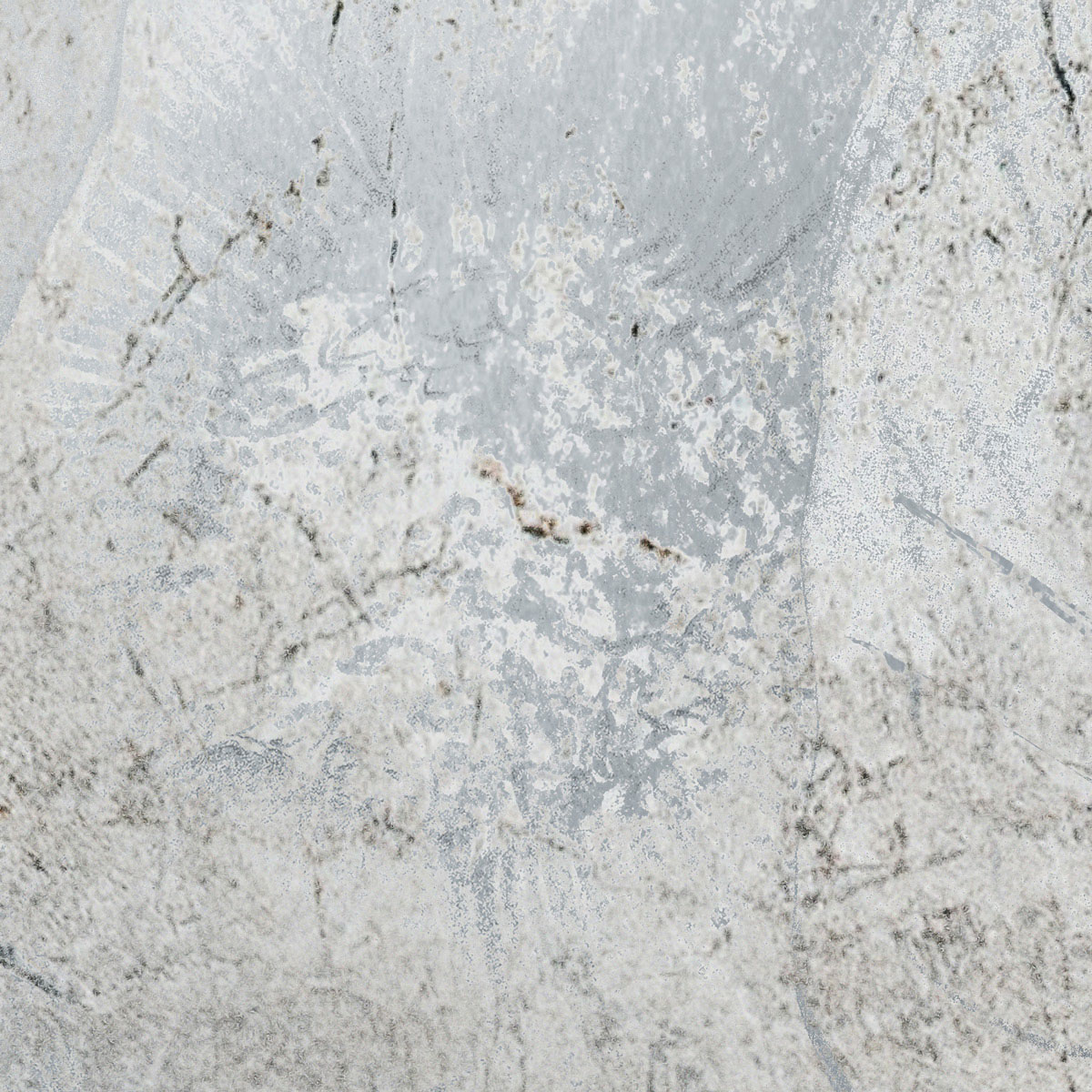 Komar  Vlies Fototapete Flower Fossil 200x280 cm Bild 5