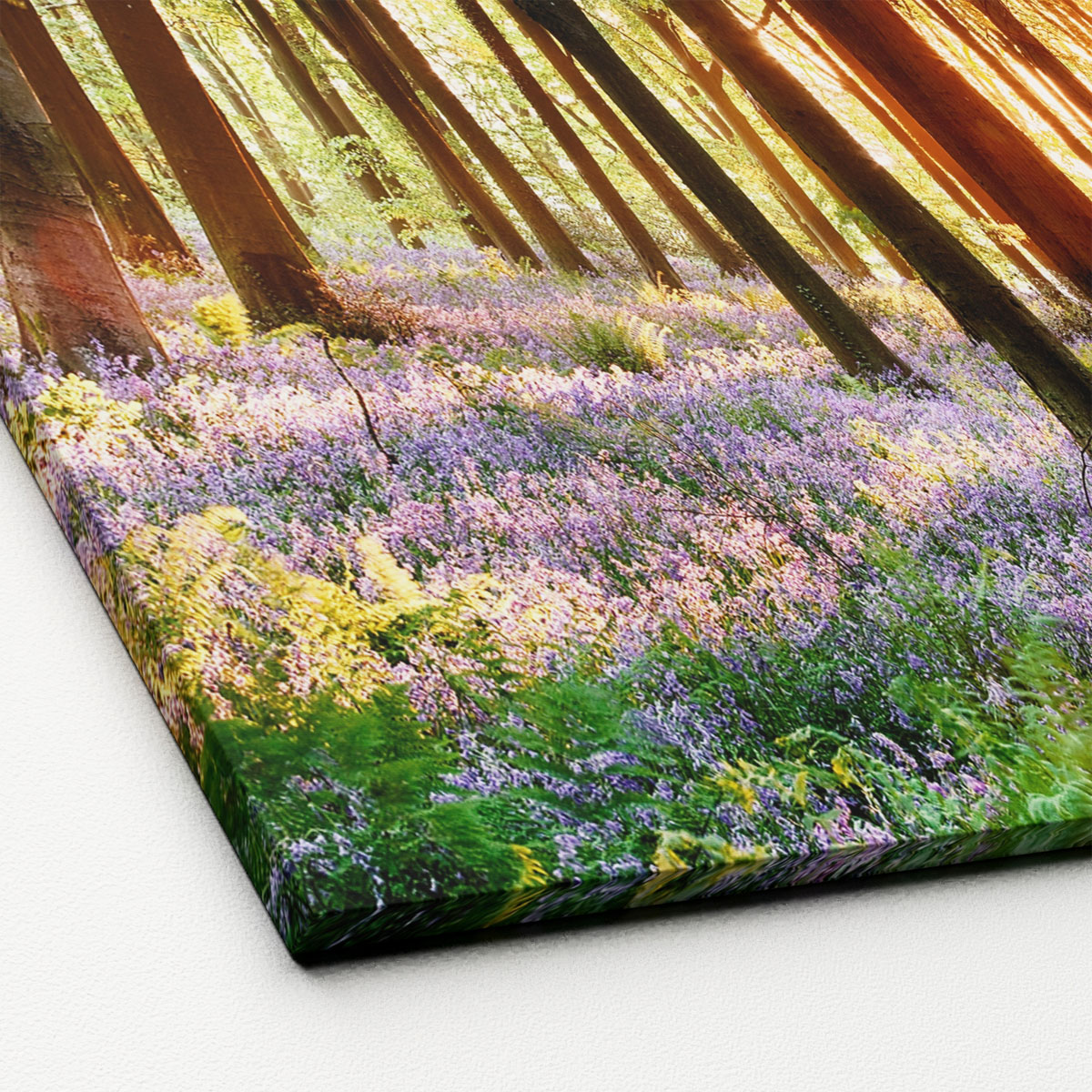 Canvas-Art Forest 90 x 120 cm Bild 2