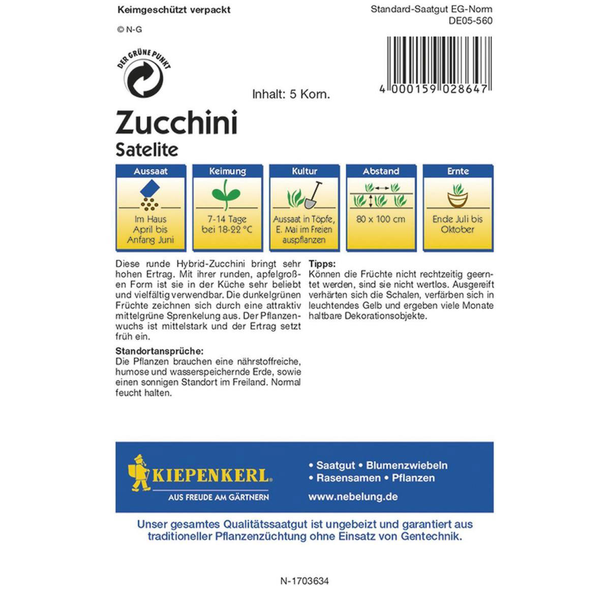 Kiepenkerl Zucchini Satelite F1 Profi-Line Bild 2