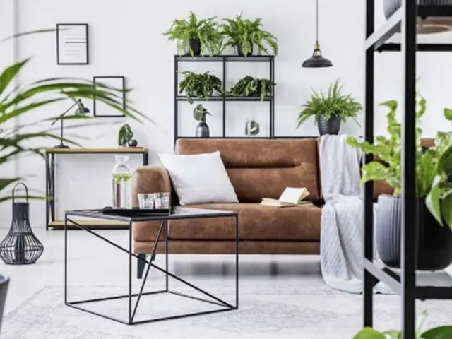 Ein Wohnzimmer im Greenery Stil eingerichtet