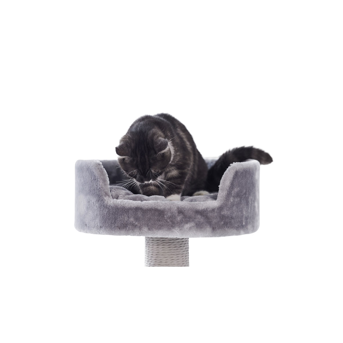 Nobby Kratzbaum Classic Zera 50 x 50 x 97 grau Bild 1