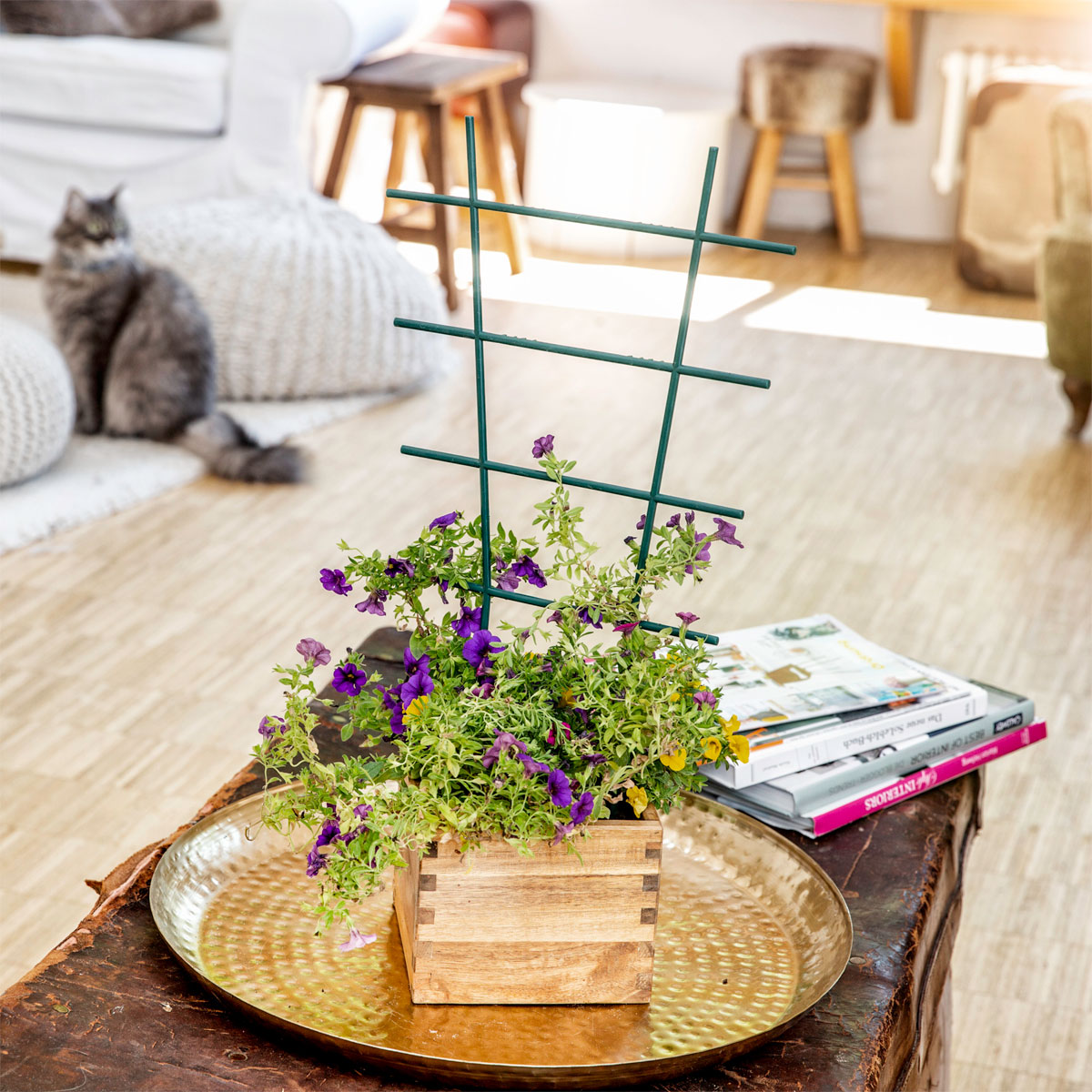 Windhager  Blumenstütze 43x23 cm