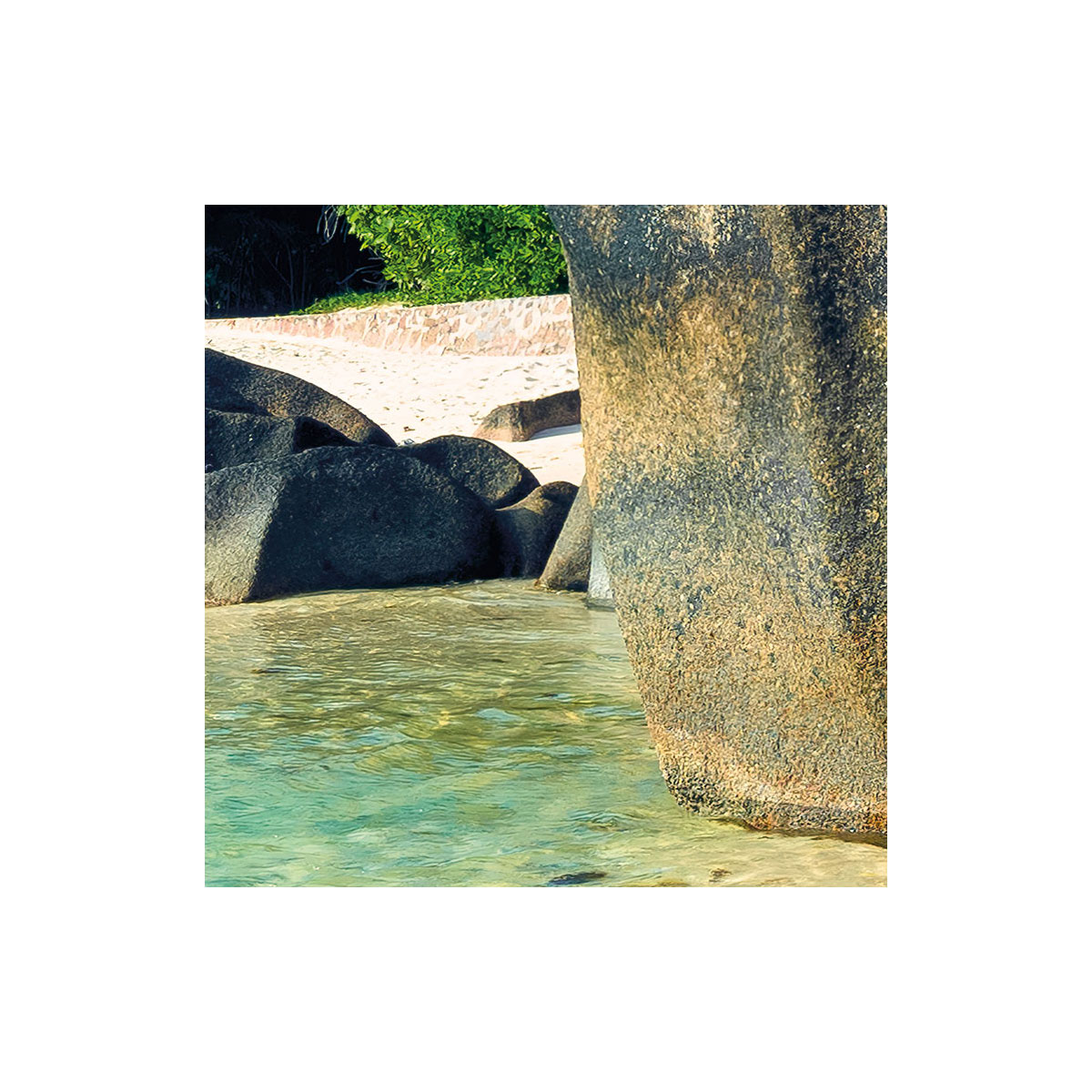 Komar  Vlies Fototapete Ozeanperle 450x280 cm Bild 4