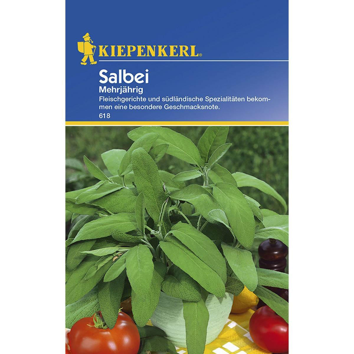 Kiepenkerl Salbei mehrjährig