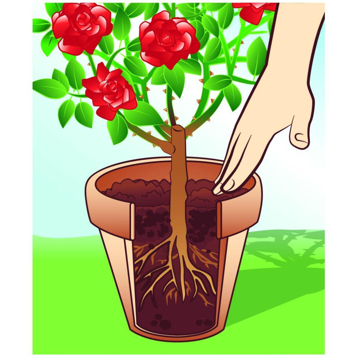 Compo BIO Universal-Erde torffrei 40 L Bild 3