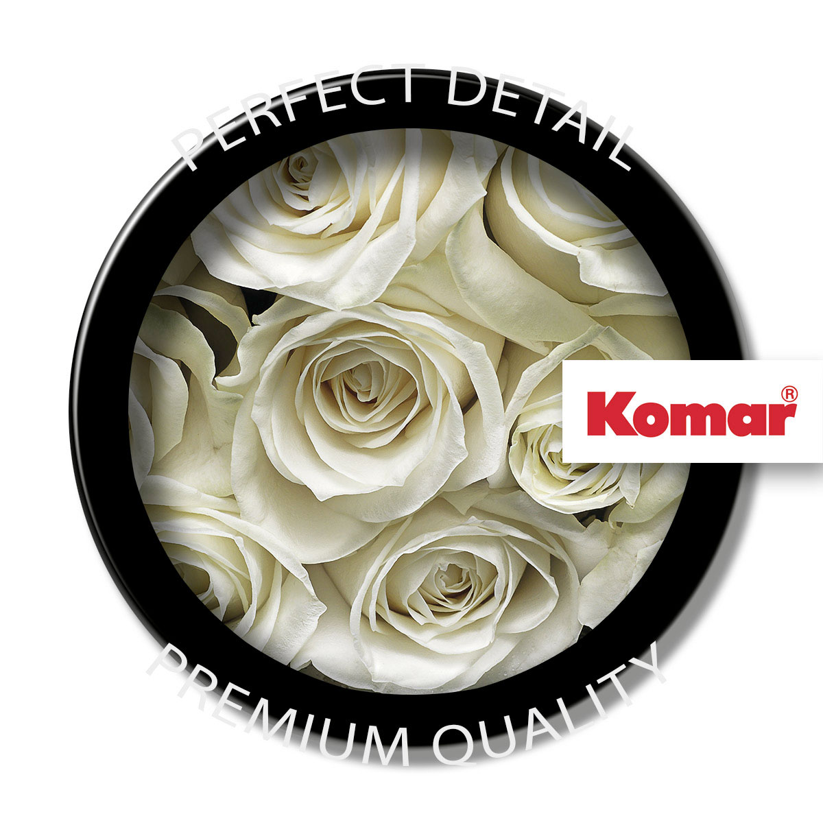 Komar  Papier Fototapete A la Rose 368x254 cm Bild 4